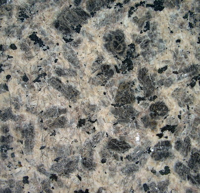 Leopard skin.jpg